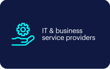 thumbnail IT & business service providers