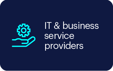 IT & business service providers